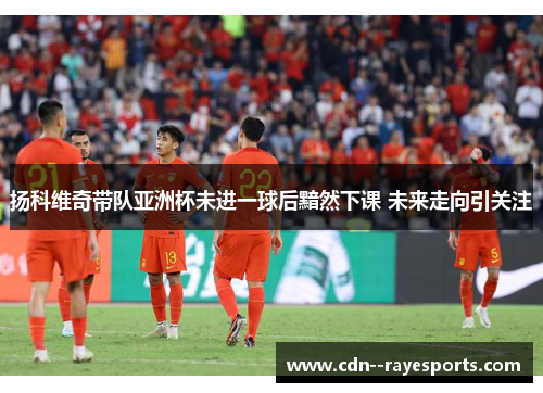 扬科维奇带队亚洲杯未进一球后黯然下课 未来走向引关注 扬科维奇带队亚洲杯未进一球后黯然下课 未来走向引关注