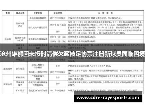 沧州雄狮因未按时清偿欠薪被足协禁注册新球员面临困境